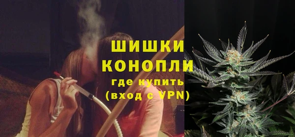 прущие крисы Гусев