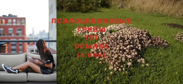 амф Гусиноозёрск
