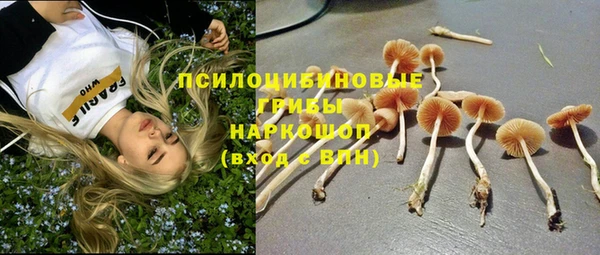 амф Гусиноозёрск