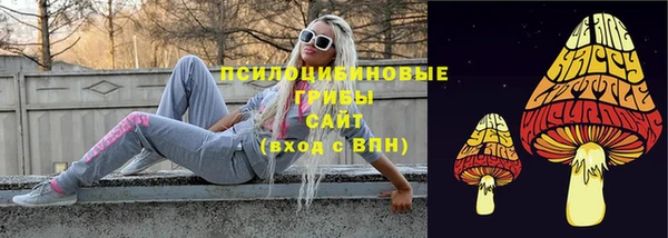 прущие крисы Гусев